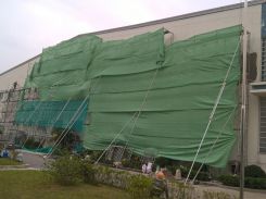  Project Terumo Vietnam 1